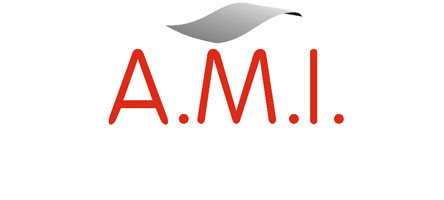 Logo - ATELIER DE METALLERIE INDUSTRIELLE (AMI)