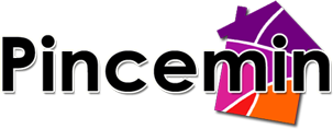 Logo - EKKO PINCEMIN
