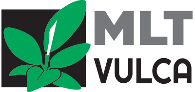 Logo - MLT VULCA